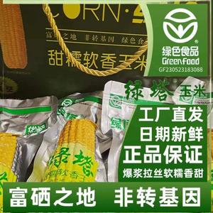 绿塔玉米东北黏苞米新鲜甜糯东北黄糯粘玉米绿色食品东晟博斯糯九