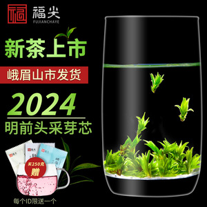 苦丁茶正品特级小叶苦丁茶官方旗舰店2024新茶叶四川青山绿水米芽