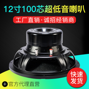 12寸100芯中低音全频喇叭钕磁户外演出舞台大功率500W-1000W