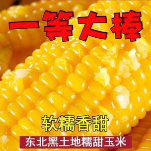 10根装东北黑龙江黄糯玉米蔬菜甜黏玉米棒子香甜软糯粘嫩苞米