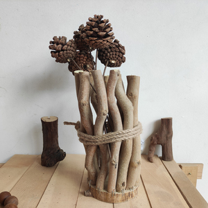 北欧风怪异枯树枝桌面花篮艺术装饰树枝树干插花摆件搭配花艺树皮