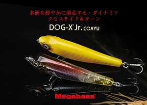 日本原装MEGABASS DOG-X JR 5.6克之子狗 水面系浮水铅笔路亚饵