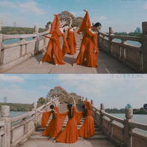 成人古典舞演出服女飘逸中国风凉凉舞蹈服装现代仙女改良汉服