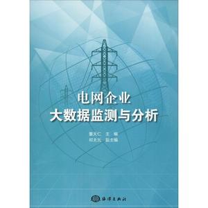 电网企业大数据监测与分析 董天仁 编 企业管理专业科技 书店正?