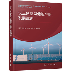 长三角新型储能产业发展战略 凌祥等 编 能源与动力工程专业科技 新华书店正版图书籍 化学工业出版社