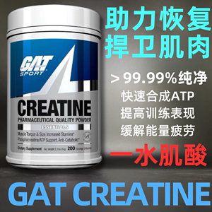 GAT概特一水肌酸1000g健身增加ATP爆发力耐力 促肌肉合成肌肉科技