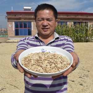 现炒原味熟南瓜籽大片咸味盐焗散装内蒙坚果零食年货原味葫芦子