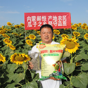 内蒙五原新货363葵花籽大粒原味薄皮生瓜子散装孕妇零食5斤包邮