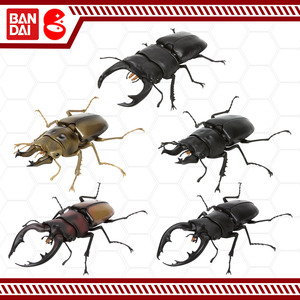 黄金鬼锹形虫 黄金鬼锹形虫品牌 价格 阿里巴巴