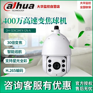 大华新品400万星光级30倍智能网络球型摄像机DH-SD6C84FX-GN-A