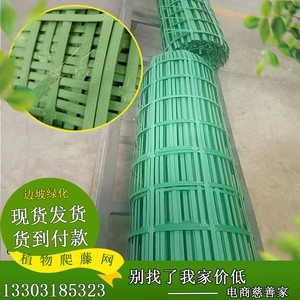 植物爬藤网攀爬网边坡防护网绿色钢塑土工格栅网裹塑网山体绿化网