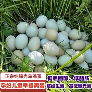 【孕妇儿童】乌鸡蛋农家散养绿壳湖北土鸡蛋正宗新鲜月子笨柴鸡蛋