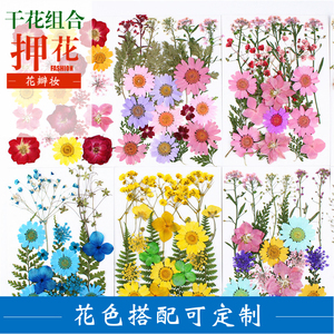 压花干花 押花材料包 树叶粘贴画 幼儿园手工真树叶标本 创意书签