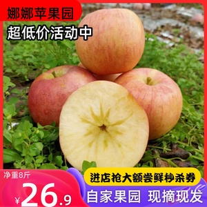 苹果水果新鲜红富士10斤整箱山西运城临猗冰糖心苹果现摘当季新果