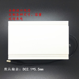 上海囊垣 进口电芯 订做 9v-12V 高容量 监控 锂电池组 送充电器