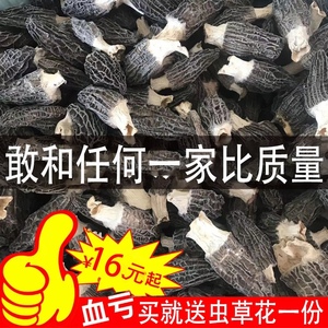 野生菌羊肚菌干货2024年特级云南特产新鲜煲汤食材菌种菇类汤料包