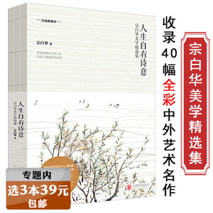 选3本39元人生自有诗意 宗白华美学精选集 彩插典藏本 宗白华著国民美学入门经典另著美学散步细雨下点碎落花声的境界书籍