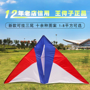 王侉子风筝544软伞布碳杆专业大型三角成人高档微风易飞新款五色
