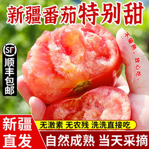 新疆普罗旺斯西红柿沙瓤新鲜自然熟应季水果番茄生吃5斤顺丰包邮