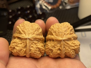 文玩铁核桃卧底矮桩野生三棱双龙开背金蟾疙瘩包蛤蟆头大尺寸狮子