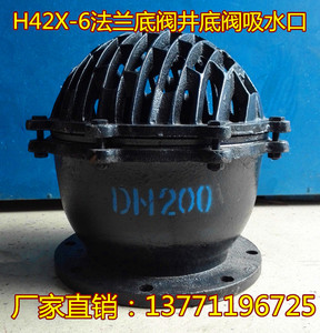 H42X-6法兰底阀不锈钢铸钢升降式井底UPVC塑料PP吸水喇叭口水泵阀