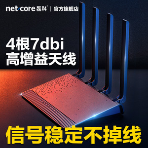磊科（netcore）N3双千兆无线路由器 5G双频1200M 智