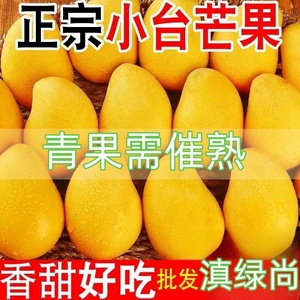 【优质】云南小台芒新鲜应季热带特产水果精选中小果小台农芒果