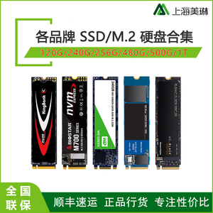 各品牌128G 240 256 512G SSD M.2 nvme固态硬盘台式笔记本绿蓝盘