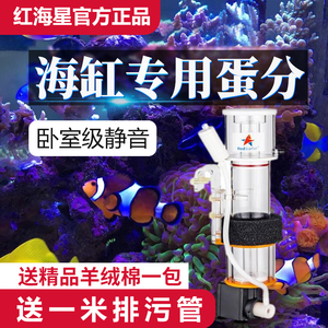 红海星迷你蛋分器蛋白质分离器海水缸化氮器鱼缸内挂置过滤器静音