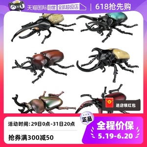 【自营】多美安利亚甲虫独角仙彩虹瓢虫儿童认知仿真动物玩具
