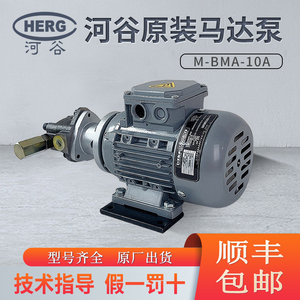 HERG河谷电机马达泵润滑油泵三角油泵M-BMA-11A/10A/12A/13A/1FS