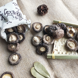 湖北随州土特产干货小香菇家用特级蘑菇菌菇无根肉厚农家30斤包邮