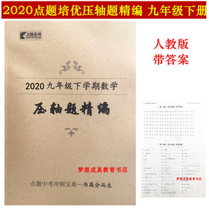 2020压轴题精编9九年级下册数学 点题培优点题中考汇编初三带答案