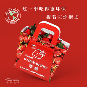 高档丹东草莓礼品盒手提篮包装盒圣诞节草莓手提袋纸箱礼盒送礼