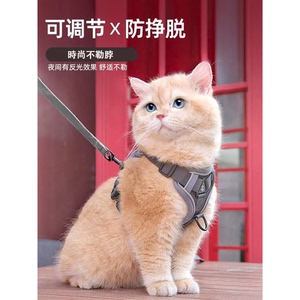 猫咪牵引绳防挣脱可调节外出专用宠物遛小猫绳子胸背帶背心式链子