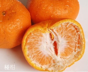 湖北宜昌秭归农产品橙子椪柑纽荷尔红肉血橙碰柑现发蜜桔包邮年货