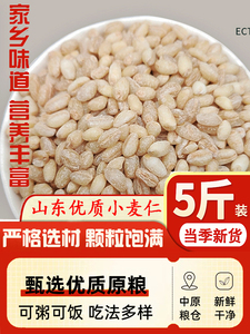 2023年去皮小麦仁新鲜特级米谷物煮粥小麦粒食用麦仁营养五谷杂粮