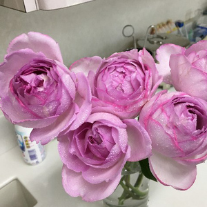 伊芙砂糖艺术 伊芙砂糖艺术品牌 价格 阿里巴巴