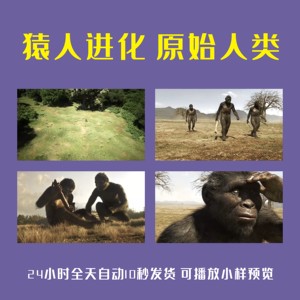 猿人进化原始人类祖先野人狩猎早期猿人生存智慧北京猿人视频素材