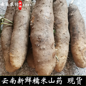 糯米山药 云南灵芝山药 新鲜金秤砣山药粉糯  新鲜蔬菜 宝宝辅食