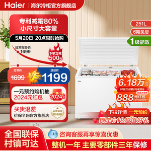 海尔251升冰柜家用小型商用全冷冻冷藏单温大容量冷柜卧式小冰箱