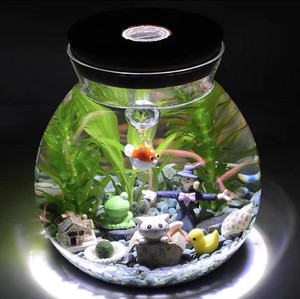 水培花盆水培植物玻璃带灯微景观生态瓶鱼缸器摆件斗鱼瓶花瓶