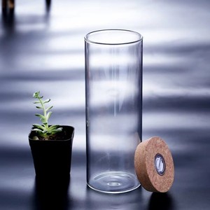 软木塞带灯直筒玻璃瓶圆柱形花瓶发光许愿瓶水培植物专用插花鲜花