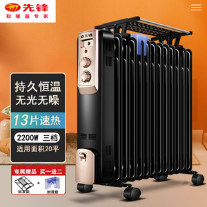 先锋取暖器 油汀家用电暖器 13片电暖气片暖风机节能加热器DYT-Z2