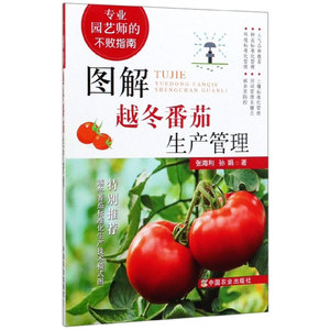 图解越冬番茄生产管理  种苗标准化管理番茄田间管理番茄种植生产技术指导 番茄种植书籍