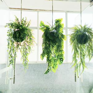 手工森系蕨类室内空中垂吊球悬挂草球仿真绿植物创意家居吊顶装饰