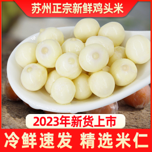 【胥王】苏州新鲜鸡头米2023苏芡5-6mm一斤芡实100g小包装分装