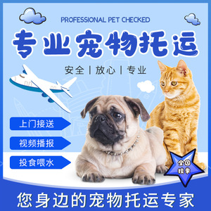 宠物托运服务猫咪狗狗专车航空全国托运北京上海天津重庆广州沈阳