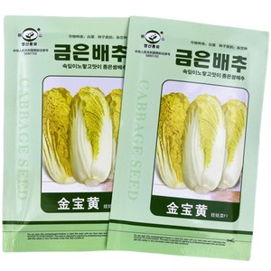 韩国金宝黄F1娃娃菜种子黄芯黄叶娃娃菜籽耐热寒蔬菜四季禾之元种