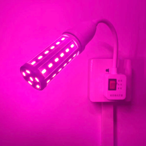 网红粉色LED氛围彩灯浪漫卧室夫妻情侣插电遥控情趣灯调情小夜灯